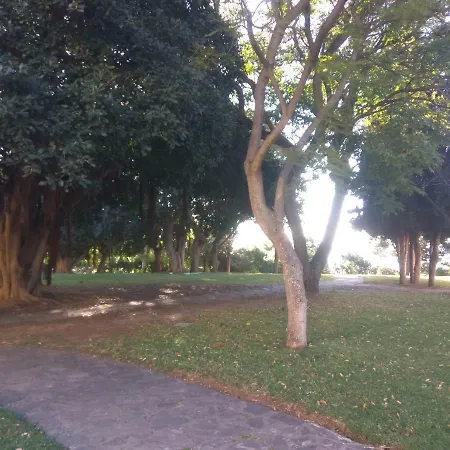 Aguila 110 * Benalmádena